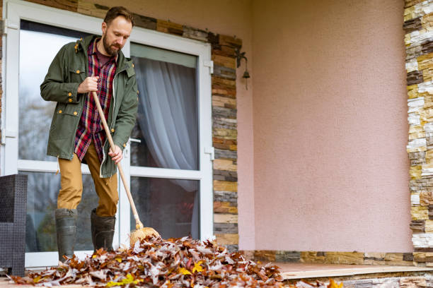 Best Furniture Removal Near Me  in Oakwood, IL